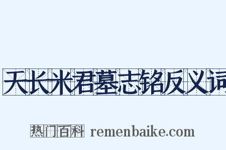天长米君墓志铭反义词是什么意思的图片